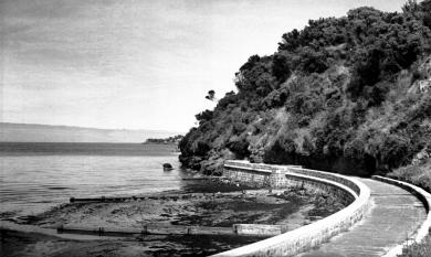 Seawall at Mentone and Beaumaris cliffs, c1940