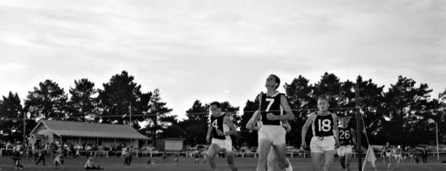 Finish of the Rix Memorial Sprint at Parkdale oval [picture].