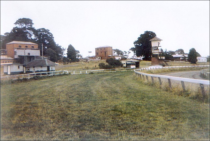 Mentone Racecourse Reserve 