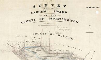 Survey map of Carrum Swamp [map]