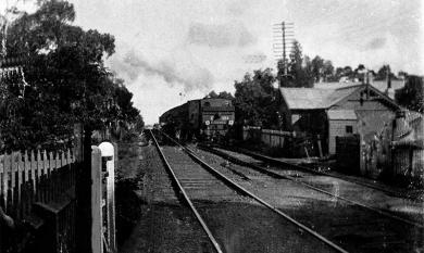 Steam Train from Mentone at Cheltenham just before Charman Road Crossing, Gate Keeper’s Cottage to right [picture].