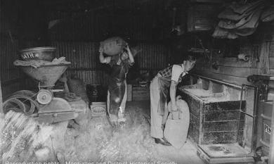 ‘The boys’ working in the grain section of Robins Stores, Mentone [picture].