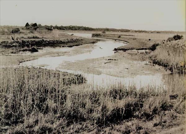 The Mordialloc Creek Up-stream 1987 [picture].