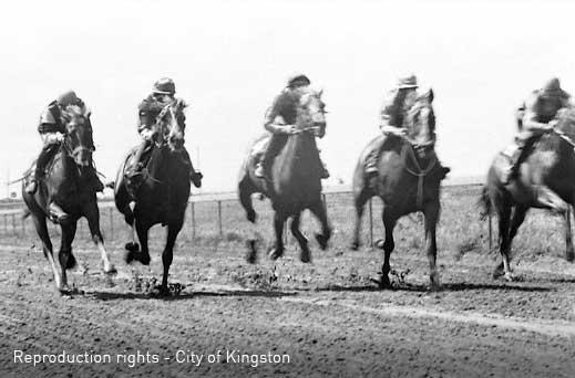 Horses training on Epsom Track, 1974 [Picture].