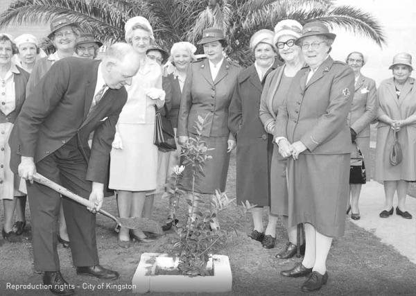 Tree planting to commemorate 50 years of Service by Chelsea Red Cross.  Mayor Cr L Payne, Mrs Payne, Mrs Moore, Mrs Mossenton, Mrs Meier and Mrs Mether [picture].