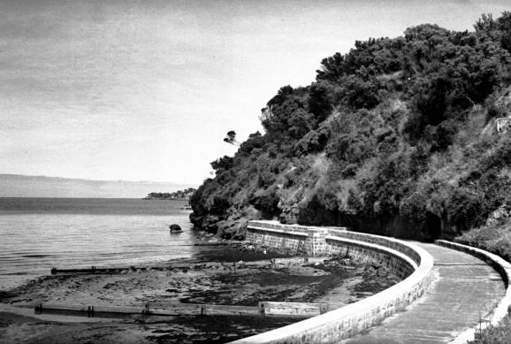 K003276 Thumbnail