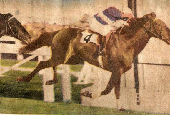 Jovial Lad winning the Mornington Welter Thumbnail