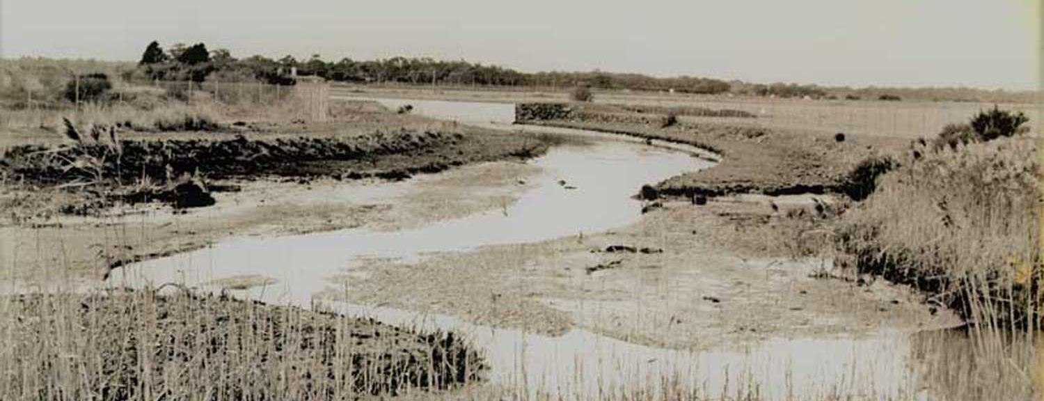 The Mordialloc Creek Up-stream 1987 [picture].