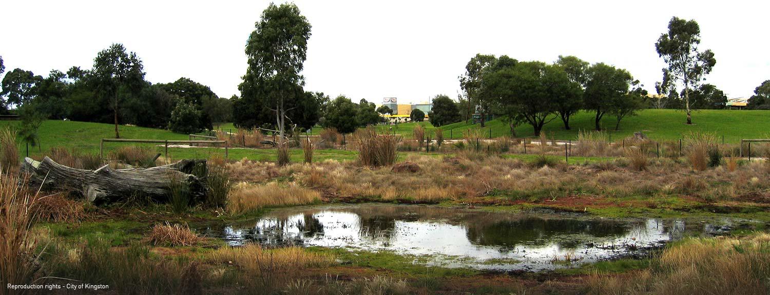 Sir William Fry Reserve, Swamp Pool [picture].