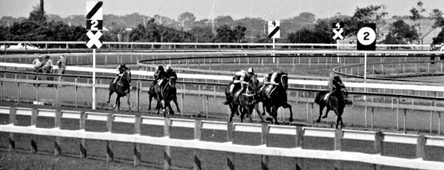 Epsom race trials, 1983 [picture].